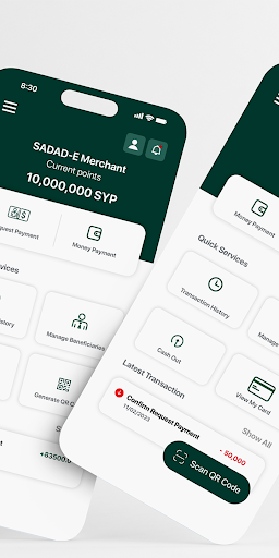 SADAD-E Pay Screen 2