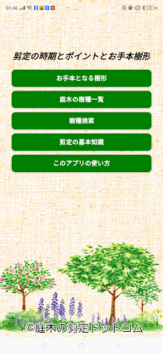 Android application 剪定の時期とポイントとお手本樹形 screenshort