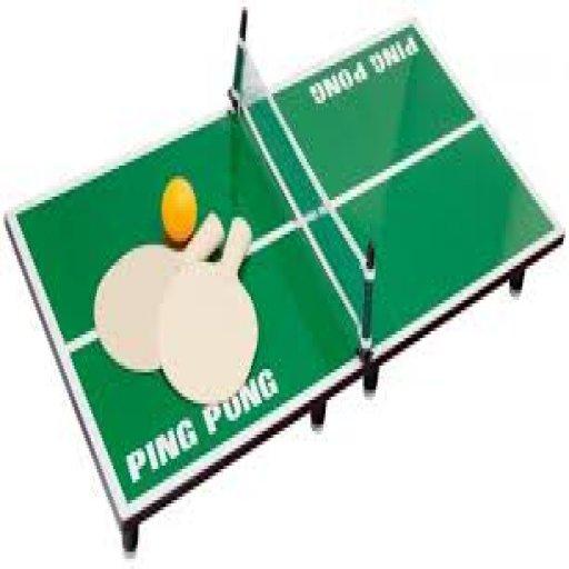 Disk Ting Tong logo