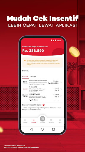 Home Credit GO! Screen 3