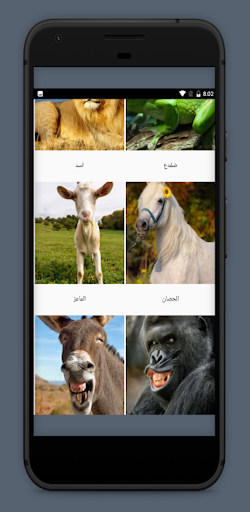 Animal sounds without internet Screen 3
