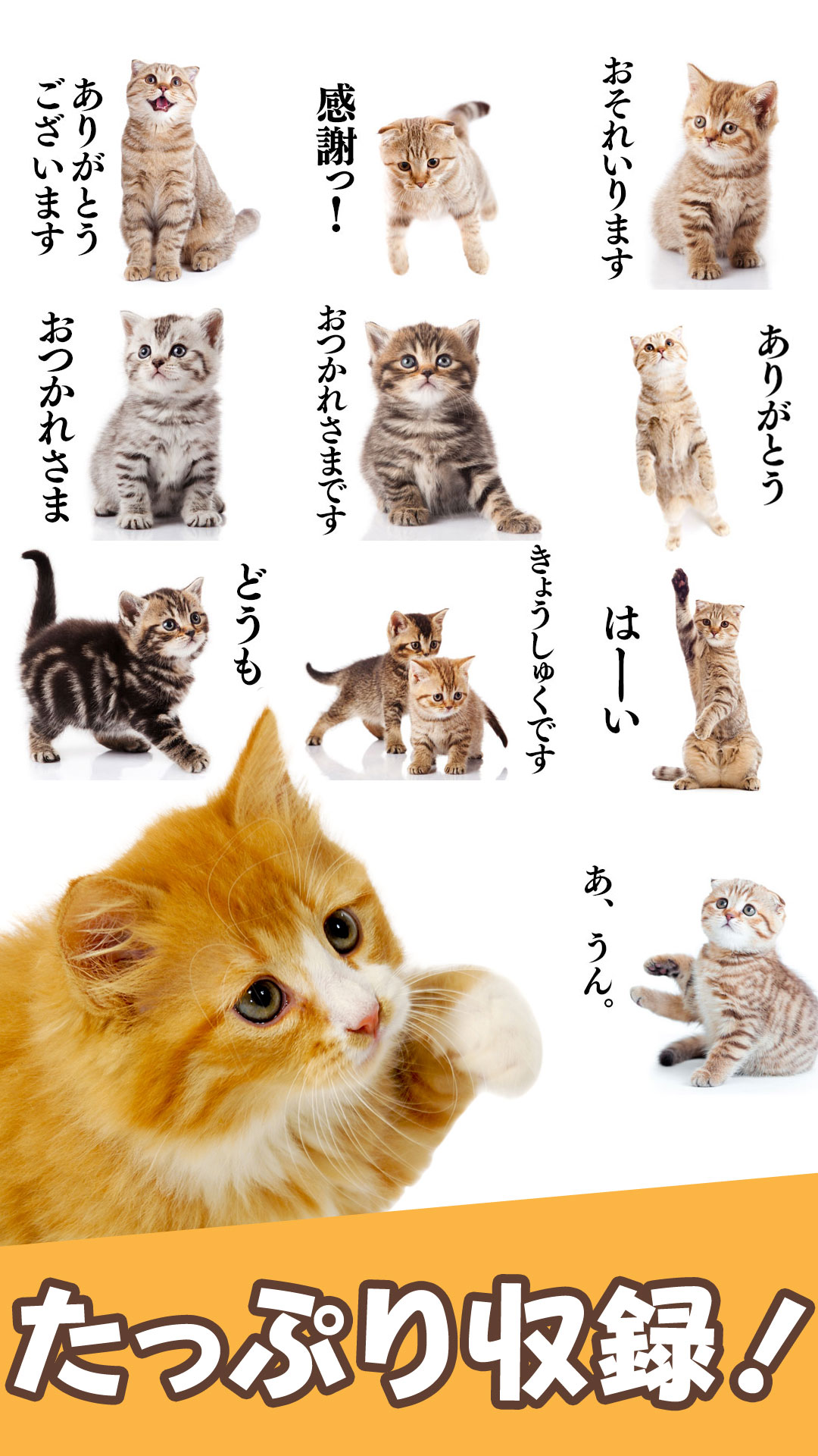 Android application Cat Stickers screenshort