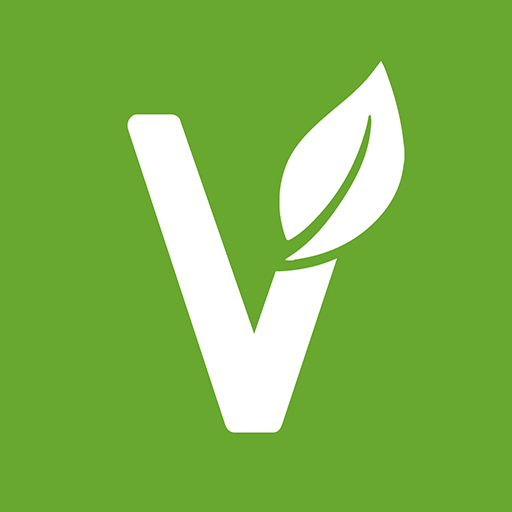 vego logo
