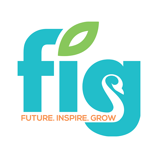 FIG K12 logo