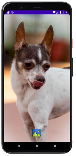 Fondos de Pantalla de Perros C Screen 3