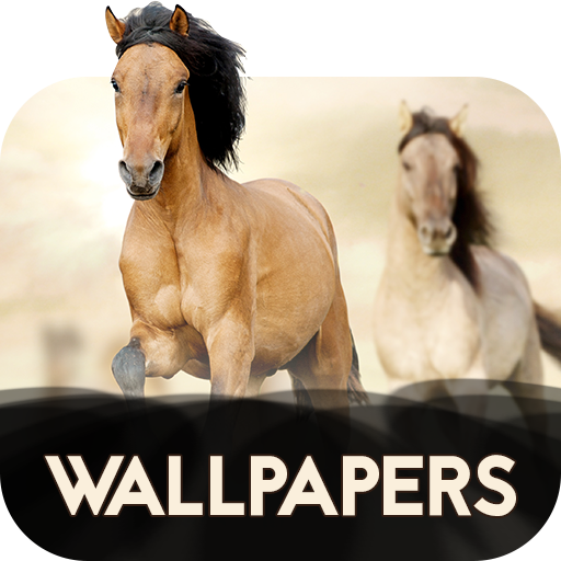 Wallpapers with Horses in 4K 2.0.1 Icon