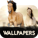 Cover Image of Herunterladen Hintergrundbilder mit Pferden in 4K  APK