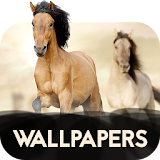 Wallpapers with Horses in 4K icon