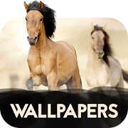 Wallpapers with horses