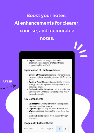 FocusedNote AI Screen 3