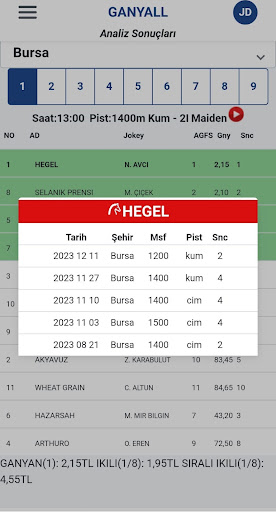 Ganyall App (Ganyan Analiz) Screen 3