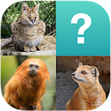 Animals Quiz (Picture Quiz) icon