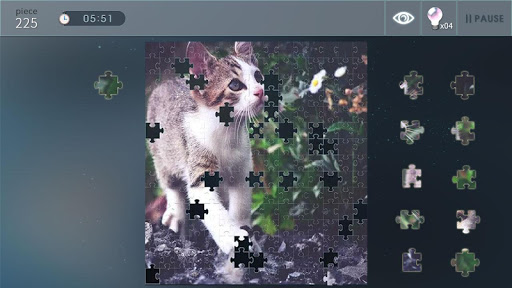 Jigsaw Puzzle World 2020.12.07 screenshots 1