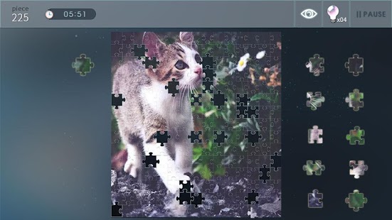 Jigsaw Puzzle World Screenshot