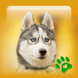 Icon image PupWall - Cute Dog Wallpapers