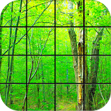 Forest Puzzle Games icon