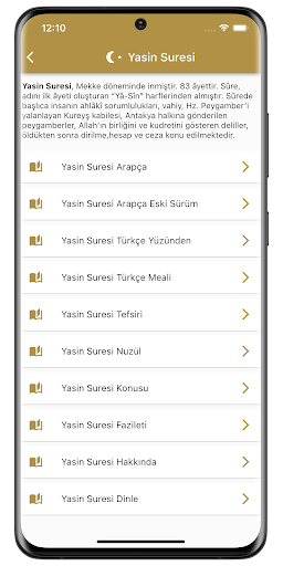 Yasin Suresi - Yasin-i Şerif Screen 3