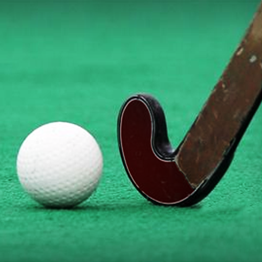 Flick Hockey Game 3D Download on Windows