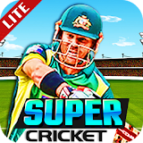 Super Cricket Championship icon
