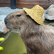 Capybara Wallpapers 2023 HD 4k - Androidアプリ