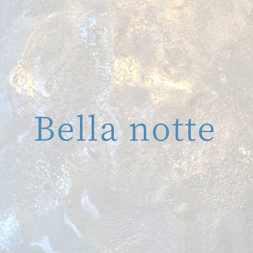 Bella notte logo