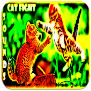 Cat fight Sounds