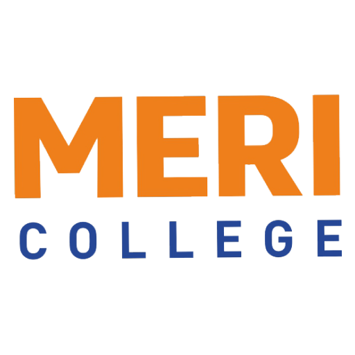 MERI GROUP OF INSTITUTIONS logo