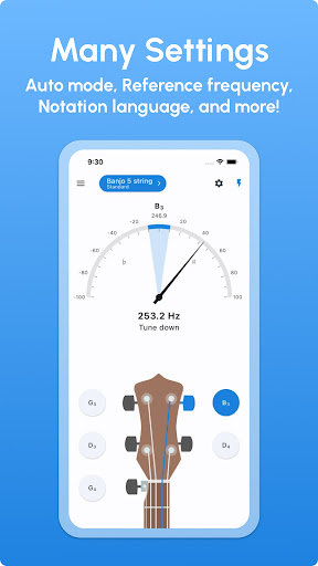 Screenshot of Banjo Tuner - LikeTones
