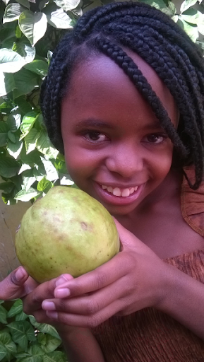 KALRO Guava Production Screen 2