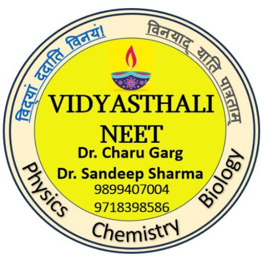 Vidyasthali logo
