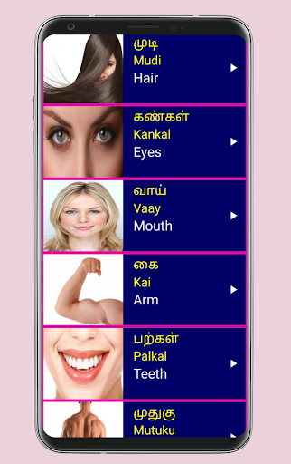 Learn Tamil From English Pro Screen 3