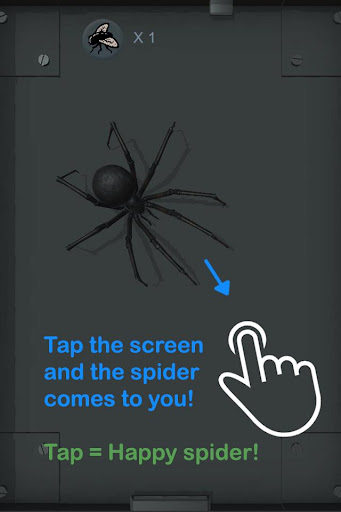 Android application Spider Pet - Creepy Widow screenshort
