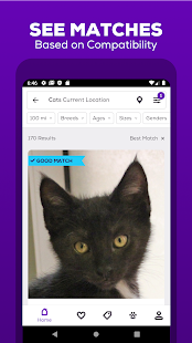 Petfinder - Adopt a Pet Capture d'écran