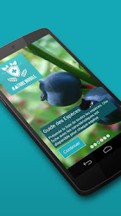 Aperçu de l'application