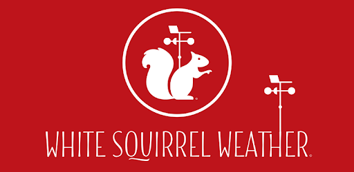 White Squirrel Weather