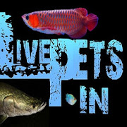 LIVE PETS - Buy aquarium fish online
