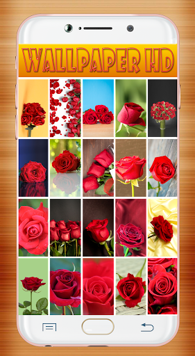 Red Rose Wallpaper Screen 2