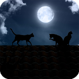 Cat Moon Live Wallpaper icon