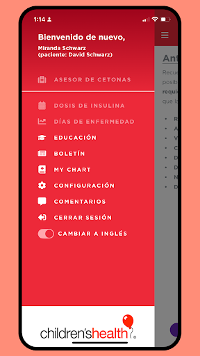 Vista previa de la aplicación