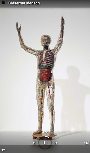 Roemer- und Pelizaeus-Museum