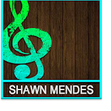 Shawn Mendes Top Songs icon