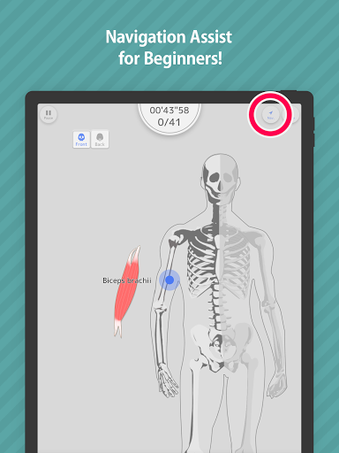 E. Learning Muscles Puzzle