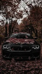 BMW 8 Series Car Wallpapers