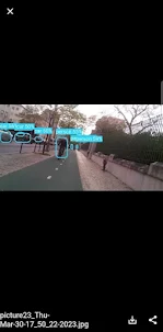 Vision Object Detection