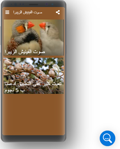 Sounds of birds Zebra Finch Kicauاصوات فناكر فينيش