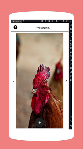 Hen wallpapers Screen 3