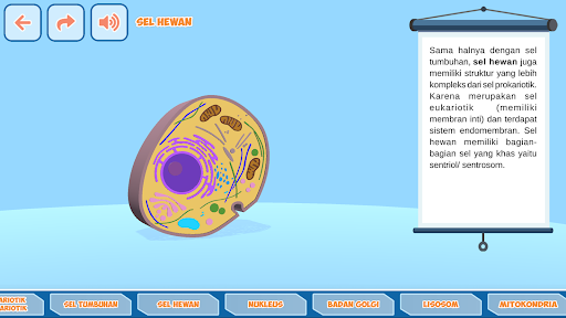 Sel Biologi 3D Struktur Screen 3