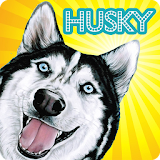 Siberian Husky Wallpaper icon