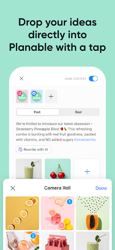 Screenshot of Planable Social Media Approval