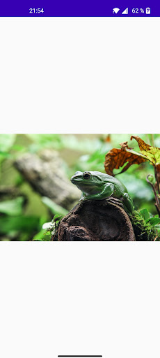 Android application Frogs in the Wild screenshort